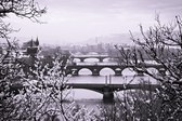 Pražské mosty z Letné
